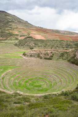Cusco Peru 'da Moray arkeolojik alanı. İnkalar tarafından yapılan tarım laboratuvarı..