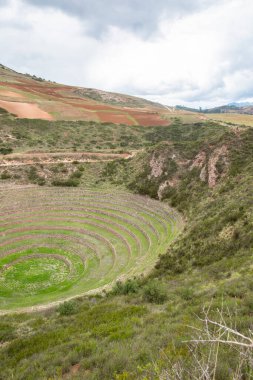 Cusco Peru 'da Moray arkeolojik alanı. İnkalar tarafından yapılan tarım laboratuvarı..