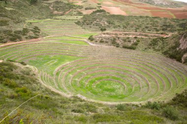 Cusco Peru 'da Moray arkeolojik alanı. İnkalar tarafından yapılan tarım laboratuvarı..