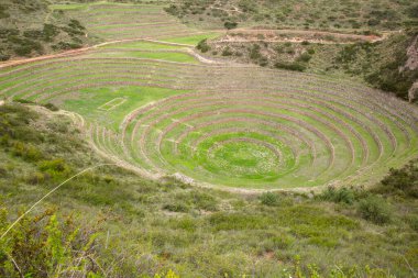 Cusco Peru 'da Moray arkeolojik alanı. İnkalar tarafından yapılan tarım laboratuvarı..