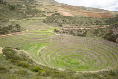Cusco Peru 'da Moray arkeolojik alanı. İnkalar tarafından yapılan tarım laboratuvarı..