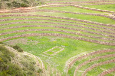 Cusco Peru 'da Moray arkeolojik alanı. İnkalar tarafından yapılan tarım laboratuvarı..