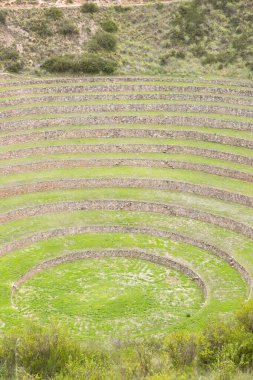 Cusco Peru 'da Moray arkeolojik alanı. İnkalar tarafından yapılan tarım laboratuvarı..