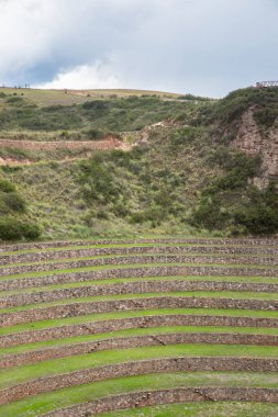Cusco Peru 'da Moray arkeolojik alanı. İnkalar tarafından yapılan tarım laboratuvarı..