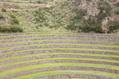 Cusco Peru 'da Moray arkeolojik alanı. İnkalar tarafından yapılan tarım laboratuvarı..