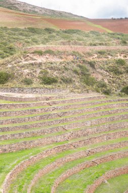 Cusco Peru 'da Moray arkeolojik alanı. İnkalar tarafından yapılan tarım laboratuvarı..