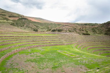 Cusco Peru 'da Moray arkeolojik alanı. İnkalar tarafından yapılan tarım laboratuvarı..