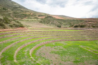 Cusco Peru 'da Moray arkeolojik alanı. İnkalar tarafından yapılan tarım laboratuvarı..