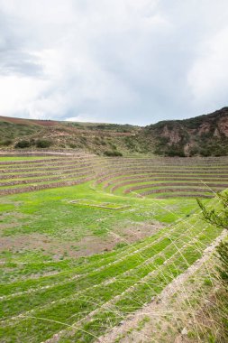 Cusco Peru 'da Moray arkeolojik alanı. İnkalar tarafından yapılan tarım laboratuvarı..