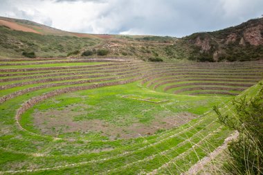 Cusco Peru 'da Moray arkeolojik alanı. İnkalar tarafından yapılan tarım laboratuvarı..