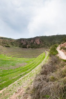 Cusco Peru 'da Moray arkeolojik alanı. İnkalar tarafından yapılan tarım laboratuvarı..