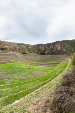 Cusco Peru 'da Moray arkeolojik alanı. İnkalar tarafından yapılan tarım laboratuvarı..