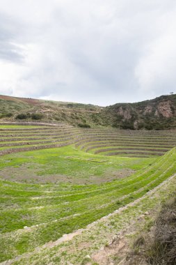 Cusco Peru 'da Moray arkeolojik alanı. İnkalar tarafından yapılan tarım laboratuvarı..