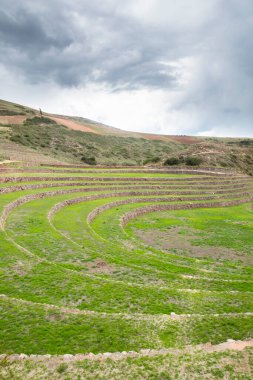 Cusco Peru 'da Moray arkeolojik alanı. İnkalar tarafından yapılan tarım laboratuvarı..
