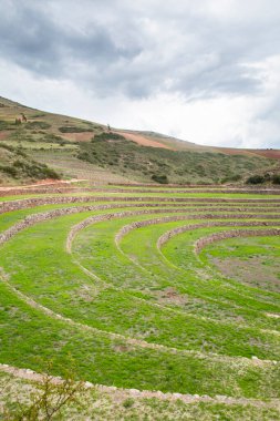 Cusco Peru 'da Moray arkeolojik alanı. İnkalar tarafından yapılan tarım laboratuvarı..