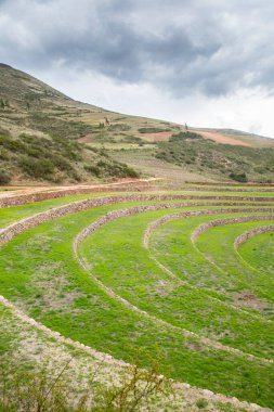 Cusco Peru 'da Moray arkeolojik alanı. İnkalar tarafından yapılan tarım laboratuvarı..