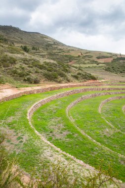 Cusco Peru 'da Moray arkeolojik alanı. İnkalar tarafından yapılan tarım laboratuvarı..