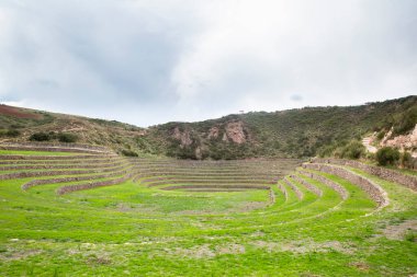 Cusco Peru 'da Moray arkeolojik alanı. İnkalar tarafından yapılan tarım laboratuvarı..