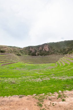 Cusco Peru 'da Moray arkeolojik alanı. İnkalar tarafından yapılan tarım laboratuvarı..