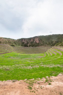 Cusco Peru 'da Moray arkeolojik alanı. İnkalar tarafından yapılan tarım laboratuvarı..