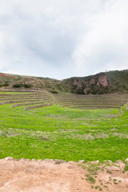 Cusco Peru 'da Moray arkeolojik alanı. İnkalar tarafından yapılan tarım laboratuvarı..