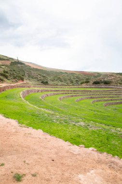 Cusco Peru 'da Moray arkeolojik alanı. İnkalar tarafından yapılan tarım laboratuvarı..
