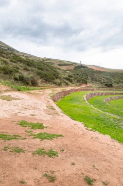 Cusco Peru 'da Moray arkeolojik alanı. İnkalar tarafından yapılan tarım laboratuvarı..