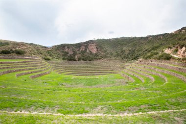 Cusco Peru 'da Moray arkeolojik alanı. İnkalar tarafından yapılan tarım laboratuvarı..