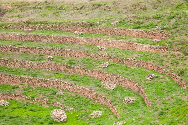 Cusco Peru 'da Moray arkeolojik alanı. İnkalar tarafından yapılan tarım laboratuvarı..