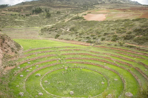 Cusco Peru Moray Arkeolojik Alanı Nkalar Tarafından Yapılan Tarım Laboratuvarı — Stok fotoğraf