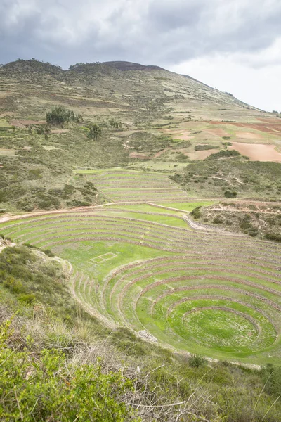 Cusco Peru 'da Moray arkeolojik alanı. İnkalar tarafından yapılan tarım laboratuvarı..