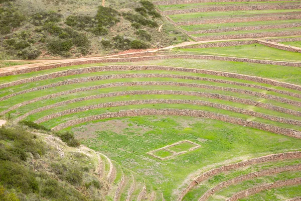 Cusco Peru 'da Moray arkeolojik alanı. İnkalar tarafından yapılan tarım laboratuvarı..
