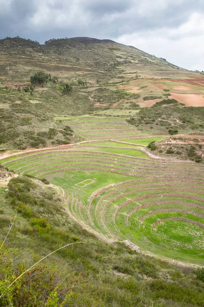 Cusco Peru 'da Moray arkeolojik alanı. İnkalar tarafından yapılan tarım laboratuvarı..