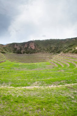 Cusco Peru 'da Moray arkeolojik alanı. İnkalar tarafından yapılan tarım laboratuvarı..