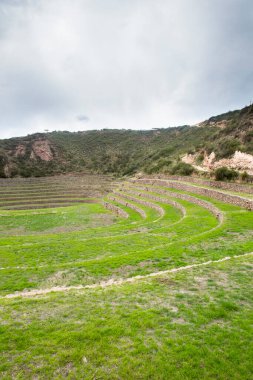 Cusco Peru 'da Moray arkeolojik alanı. İnkalar tarafından yapılan tarım laboratuvarı..