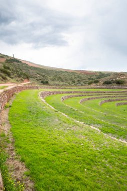 Cusco Peru 'da Moray arkeolojik alanı. İnkalar tarafından yapılan tarım laboratuvarı..