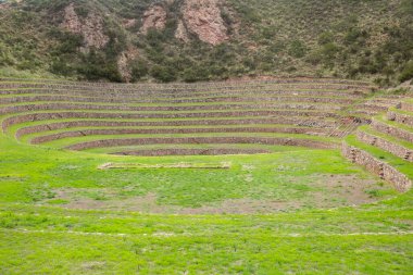 Cusco Peru 'da Moray arkeolojik alanı. İnkalar tarafından yapılan tarım laboratuvarı..