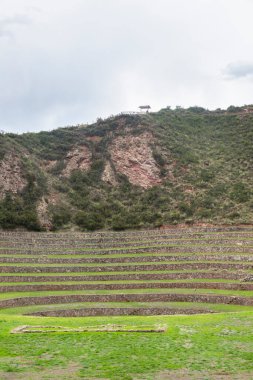 Cusco Peru 'da Moray arkeolojik alanı. İnkalar tarafından yapılan tarım laboratuvarı..