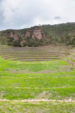 Cusco Peru 'da Moray arkeolojik alanı. İnkalar tarafından yapılan tarım laboratuvarı..