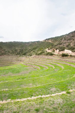 Cusco Peru 'da Moray arkeolojik alanı. İnkalar tarafından yapılan tarım laboratuvarı..
