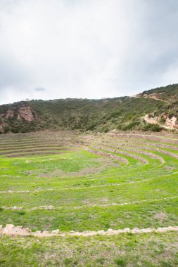 Cusco Peru 'da Moray arkeolojik alanı. İnkalar tarafından yapılan tarım laboratuvarı..