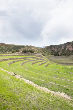Cusco Peru 'da Moray arkeolojik alanı. İnkalar tarafından yapılan tarım laboratuvarı..