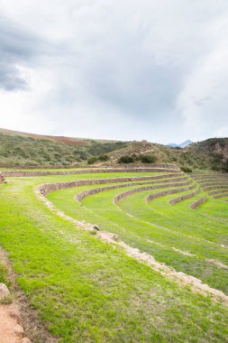 Cusco Peru 'da Moray arkeolojik alanı. İnkalar tarafından yapılan tarım laboratuvarı..