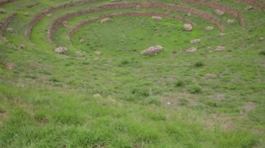 Cusco Peru 'da Moray arkeolojik alanı. İnkalar tarafından yapılan tarım laboratuvarı..