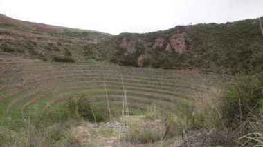 Cusco Peru 'da Moray arkeolojik alanı. İnkalar tarafından yapılan tarım laboratuvarı..