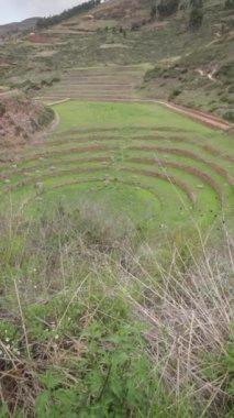 Cusco Peru 'da Moray arkeolojik alanı. İnkalar tarafından yapılan tarım laboratuvarı..