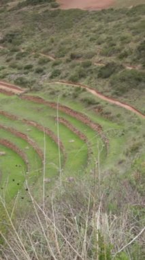 Cusco Peru 'da Moray arkeolojik alanı. İnkalar tarafından yapılan tarım laboratuvarı..