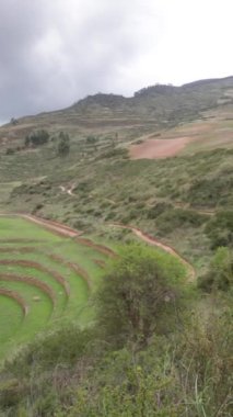 Cusco Peru 'da Moray arkeolojik alanı. İnkalar tarafından yapılan tarım laboratuvarı..