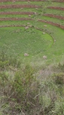Cusco Peru 'da Moray arkeolojik alanı. İnkalar tarafından yapılan tarım laboratuvarı..