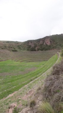 Cusco Peru 'da Moray arkeolojik alanı. İnkalar tarafından yapılan tarım laboratuvarı..